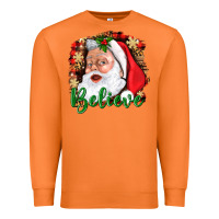 Carrot Believe And Santa Premium Sweatshirt - BundleAndBundleShop