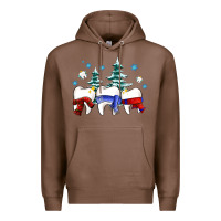 Chestnut dental christmas tree teeth and winter ado Premium Hoodie - OliviaCreatesArt