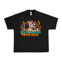 Black Fall Cutest Pumpkin In The Patch Pig Urban Heavy Tee - LillyAllenDesigns