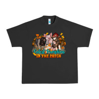 Pigment Black Fall Cutest Pumpkin In The Patch Pig Urban Heavy Tee - LillyAllenDesigns