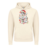 Vintage Artic christmas ragdoll cat Vintage Hoodie - LillyAllenDesigns