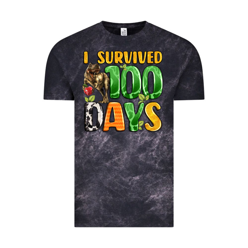 Dinosaur 100day Celebration Vintage Tee by LillyAllenDesigns | Teevron