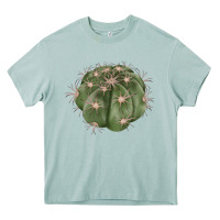 Arona eagle claws cactus Heavy Core Tee - LillyAllenDesigns