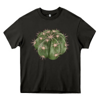 Asphalt eagle claws cactus Heavy Core Tee - LillyAllenDesigns