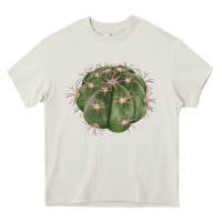 Cream eagle claws cactus Heavy Core Tee - LillyAllenDesigns