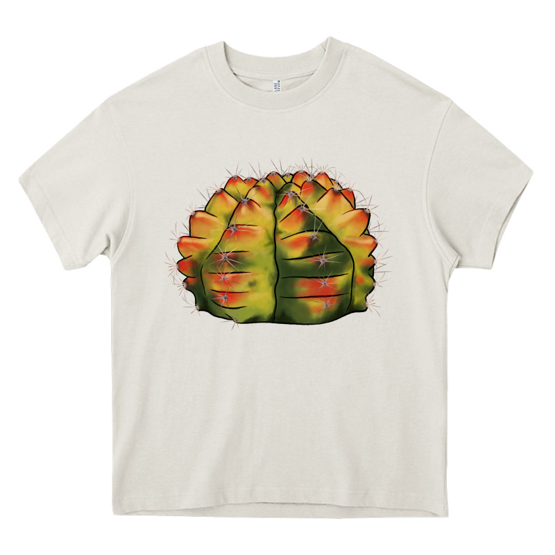 Gymnocalycium Variegated Cactus Heavy Core Tee by LillyAllenDesigns | Teevron