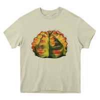 Mossy Gymnocalycium Variegated Cactus Heavy Core Tee - LillyAllenDesigns