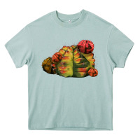 Arona Gymnocalycium Variegated Cactus Heavy Core Tee - LillyAllenDesigns