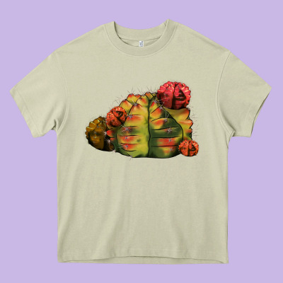 Gymnocalycium Variegated Cactus Heavy Core Tee Designed By Lillyallendesigns