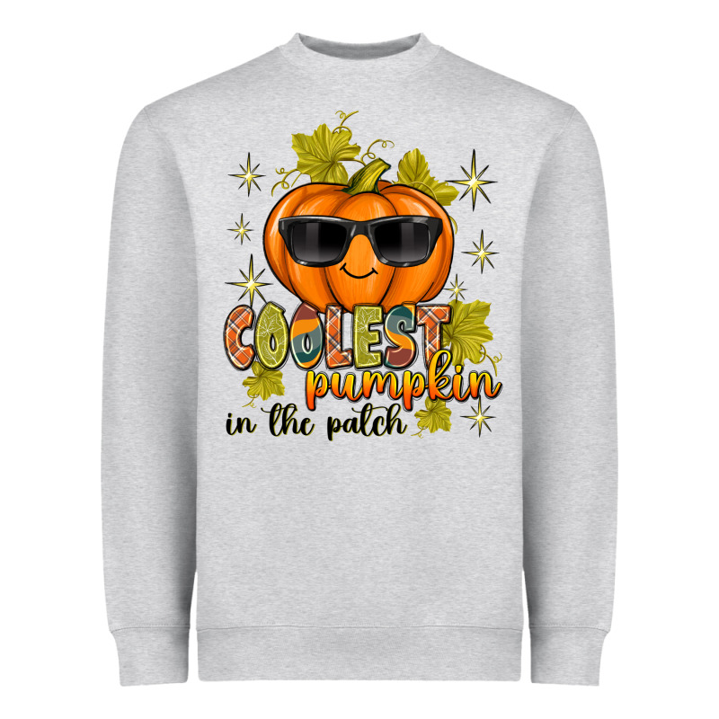 Coolest Pumpkin In The Patch Heavyweight Sweatshirt by texasbilliewilder | Teevron