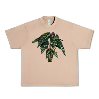 Burro Amazon Elephant Ear Urban Heavy Tee - LillyAllenDesigns