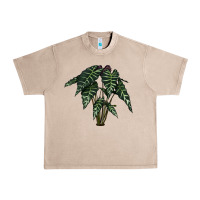 French Oak Amazon Elephant Ear Urban Heavy Tee - LillyAllenDesigns