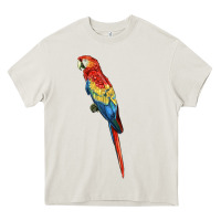 Scarlet Macaw Parrot Heavy Core Tee | Teevron