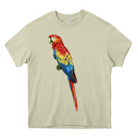 Mossy Scarlet Macaw Parrot Heavy Core Tee - LillyAllenDesigns