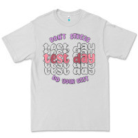 Dove Grey dont stress test day do your best Premium Tee - MaliasSmallBusiness