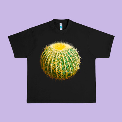 Golden Barrel Cactus Urban Heavy Tee Designed By Lillyallendesigns