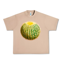 Burro Golden Barrel Cactus Urban Heavy Tee - LillyAllenDesigns