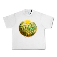 Lunar Rock Golden Barrel Cactus Urban Heavy Tee - LillyAllenDesigns