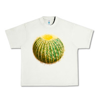 Pistachio Golden Barrel Cactus Urban Heavy Tee - LillyAllenDesigns