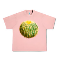 Salmon Golden Barrel Cactus Urban Heavy Tee - LillyAllenDesigns