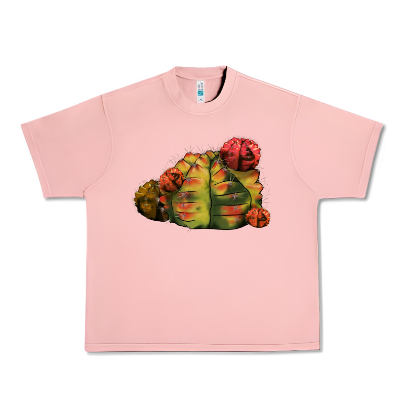 Gymnocalycium Variegated Cactus Urban Heavy Tee by LillyAllenDesigns | Teevron