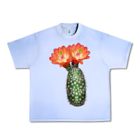 Grape Ice King Cup Cactus Urban Heavy Tee - LillyAllenDesigns