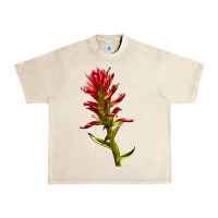 Sandshell Indian Paintbrush Urban Heavy Tee - LillyAllenDesigns