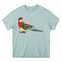Arona Rosella Bird Heavy Core Tee - LillyAllenDesigns