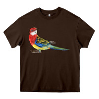 Chocolate Brown Rosella Bird Heavy Core Tee - LillyAllenDesigns
