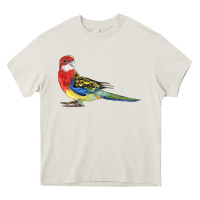Cream Rosella Bird Heavy Core Tee - LillyAllenDesigns