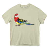 Mossy Rosella Bird Heavy Core Tee - LillyAllenDesigns