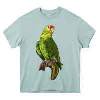 Arona New Zealand Paraket Parrot Heavy Core Tee - LillyAllenDesigns