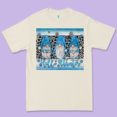 Hello Winter Gnome Premium Tee Designed By Jahusdesignshop