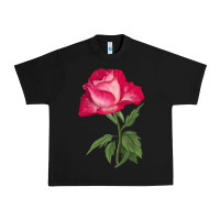 Black Love At First Sight Rose Urban Heavy Tee - LillyAllenDesigns