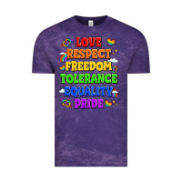 Love Respect Freedom Tolerance Equality Pride Vintage Tee | Teevron