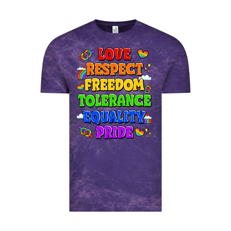 Love Respect Freedom Tolerance Equality Pride Vintage Tee by LillyAllenDesigns | Teevron