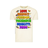 Vintage Arctic love respect freedom tolerance equality pride Vintage Tee - LillyAllenDesigns