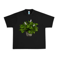 Black Peace Lily Urban Heavy Tee - LillyAllenDesigns
