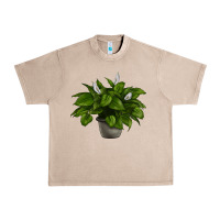 French Oak Peace Lily Urban Heavy Tee - LillyAllenDesigns