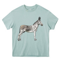 Arona Andalusian Donkey Heavy Core Tee - LillyAllenDesigns