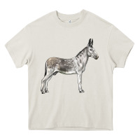 Cream Andalusian Donkey Heavy Core Tee - LillyAllenDesigns