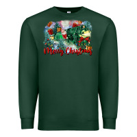 Sports Green merry christmas santa polar express Premium Sweatshirt - FaDigitalArtStudio