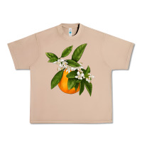 Burro Tangerine Urban Heavy Tee - LillyAllenDesigns