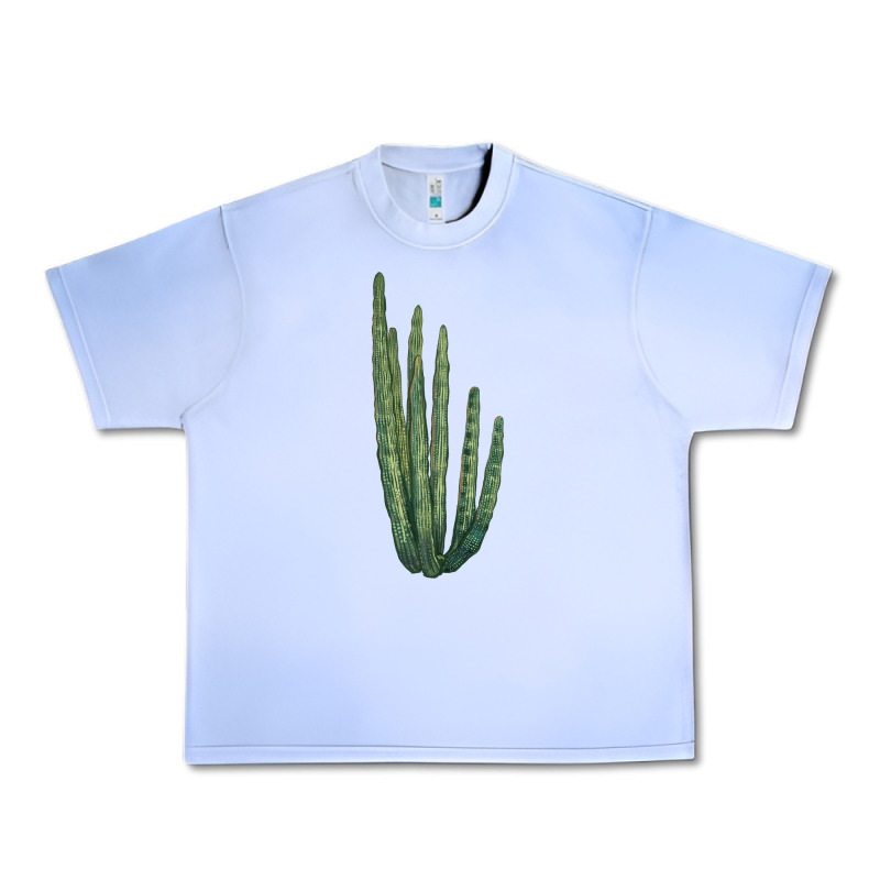 Organ Pipe Cactus Urban Heavy Tee by LillyAllenDesigns | Teevron
