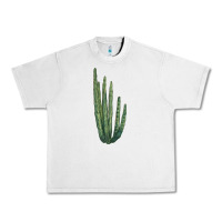 Lunar Rock Organ Pipe Cactus Urban Heavy Tee - LillyAllenDesigns