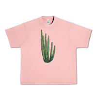 Salmon Organ Pipe Cactus Urban Heavy Tee - LillyAllenDesigns