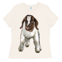 Bone baby boer goat Ladies Tee - LillyAllenDesigns