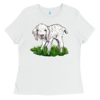 White Baby Angora Goat Ladies Tee - LillyAllenDesigns