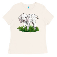 Bone Baby Angora Goat Ladies Tee - LillyAllenDesigns