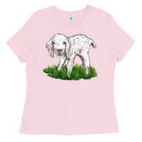 Bubblegum Pink Baby Angora Goat Ladies Tee - LillyAllenDesigns